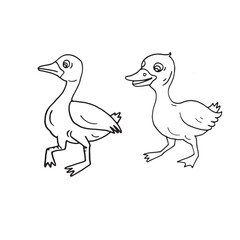 Set of  baby duck cartoon hand drawn sketch illustration vector
