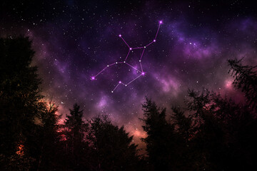 Virgo constellation in starry sky over conifer forest at night, low angle view - obrazy, fototapety, plakaty