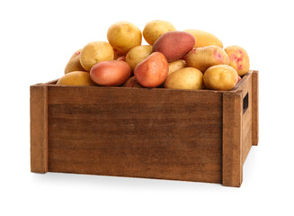 Wooden box with fresh raw potatoes on white background