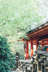 Fototapeta premium 神社の灯篭と回廊