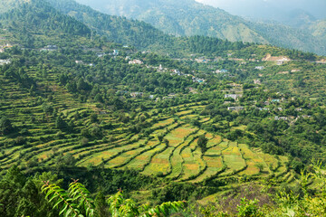 Fototapeta na wymiar Hill station view in sakalana range,Uttarakhand,India
