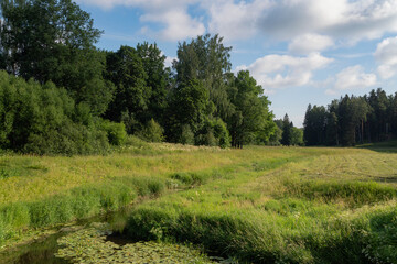 Slavyanka River Valley in the landscape part of the Pavlovsk Palace and Park Complex on a sunny summer day, Pavlovsk, Saint Petersburg, Russia