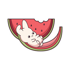 Cute Watermelon Character Design Illustration