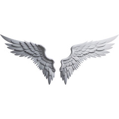 Realistic angel wings