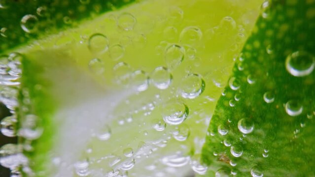 Bubbly Drink and Lime Slices in Glass Cup Close Up. Making Sour Alcoholic Cocktail of Vodka or White Rum at Home on Studio Shot in Macro. Drinking Sparkling Water as Detox Fluid or Pure Mineral Aqua