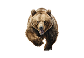 The bear is running. No shadows, highest details, sharpness throughout the image, highest resolution, lifelike, white background