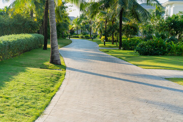 Road in holiday resort with green trees, grass and early sunlight
