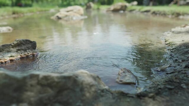 Panning from the left to the right side of the frame, showing the flowing and bubbling thermal hot springs located in St. Petka, in the town of Rupite, Petrich, Bulgaria.
