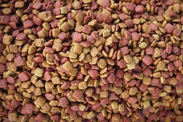 pet food in a bowl on black background top down.
