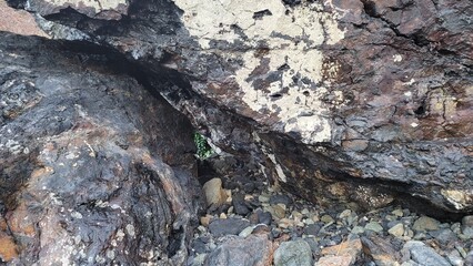 重なる大きな岩のスキマ／gaps between large overlapping rocks／겹치는 큰 바위 스키마