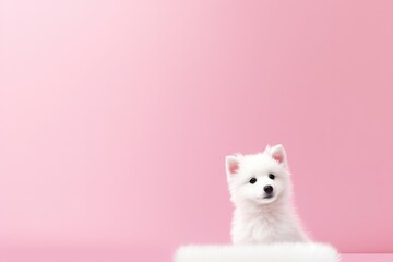 Fototapeta na wymiar Cute puppy isolated against pink background 