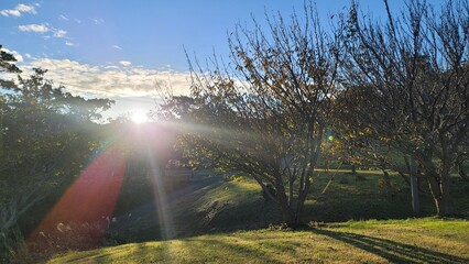 Obraz premium 太陽の光り・田舎の風景／Sunlight・Rural scenery／태양의 빛 · 시골 풍경