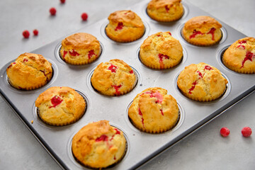 Muffins with red currants in the form for baking