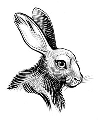 Cute bunny head. Hand-drawn ink black and white drawing