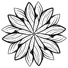 black and white flower isolated, Decoration ornamental Element