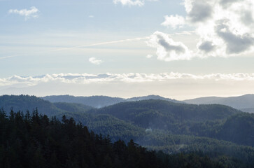 A coastal & forest scene at Vancouver Island's East Sooke Park where the Pacific Ocean meets Canada's rain forest 