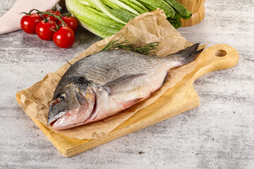 Raw dorada fish served rosemary
