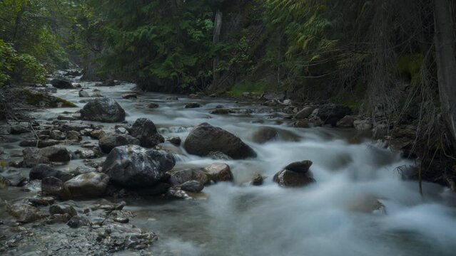 Timelapse of natural creek waters streaming through the forest. 