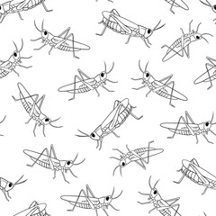 Vector Seamless pattern with grasshopper outline illustration. Line insect isolated on white background. © Elena