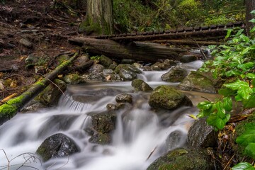 Bridge crossing a creek