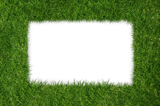 Digital png illustration of frame with grass on transparent background