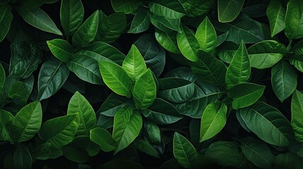 Eco-friendly abstract background, lush greenery, vibrant leaves, branches, evoking growth, perfect for an ESG company emphasizing sustainability and nature.