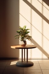 Plant in a pot on a wooden table in the sunlight.