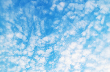 White Altocumulus Clouds Scattered on Sunny Blue Sky