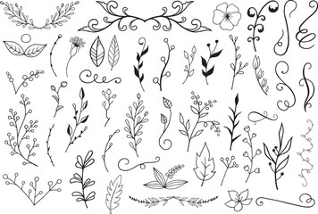 Set of hand drawn elements with floral elements design for invitations, greeting cards, quotes, blogs, posters Vector