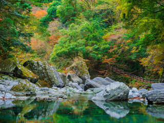 紅葉した秋の川の渓流　高知県　安居渓谷	