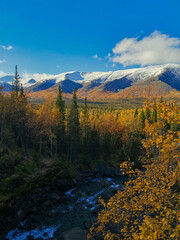 Autumn Arctic landscape in the Khibiny mountains. Kirovsk, Kola Peninsula, Polar Russia. Autumn colorful forest in the Arctic, Mountain hikes and adventures.