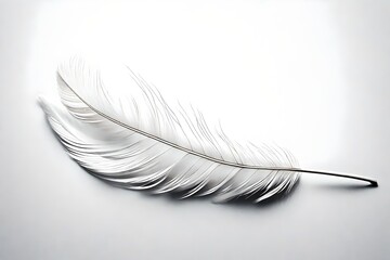 white illusion feather (feather have some glitter on it)on white background