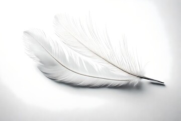 white illusion feather (feather have some glitter on it)on white background