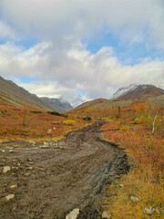 Autumn Arctic landscape in the Khibiny mountains. Kirovsk, Kola Peninsula, Polar Russia. Autumn colorful forest in the Arctic, Mountain hikes and adventures.