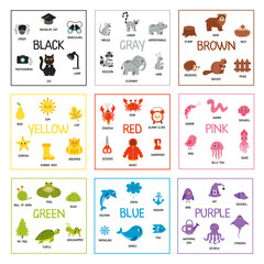 Color learning cards for kids. Big Colorful set of flashcards. Basic colors.