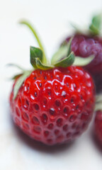 Strawberries on a white background