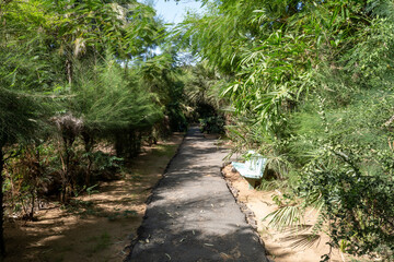 Un chemin dans le jardin botanique de la ville de Dakar au Sénégal en Afrique de l'ouest. 