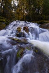 Fototapeta premium Autumn in the mountains of Madrid