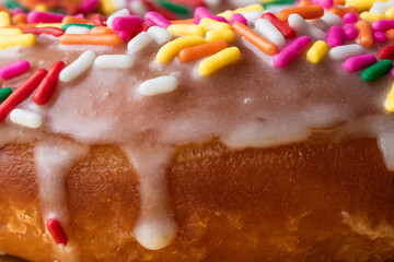Vanilla Frosted Rainbow Sprinkle Donut Close Up