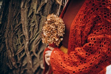 A dried hydrangea flower in the hands of a young woman