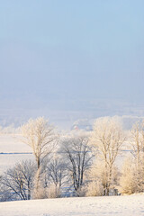 Frosty trees on a cold winter day in the countryside