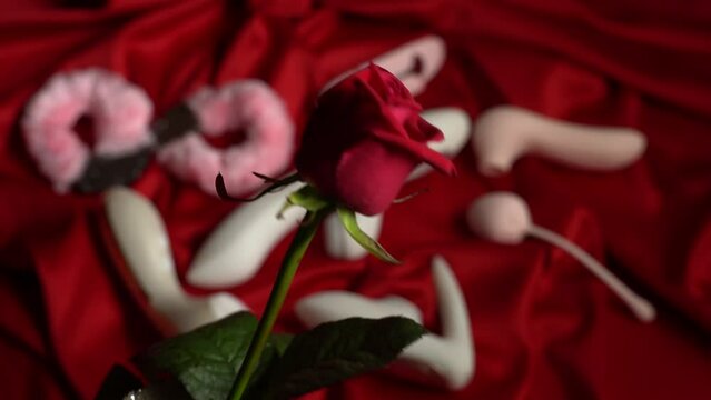 red rose over many different sex toys and vibrators