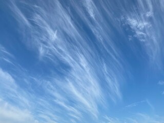 流れる鰯雲