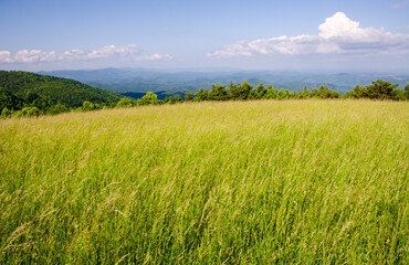 Blue Ridge Parkway, Famous Road linking Shenandoah National Park to Great Smoky Mountains National Park