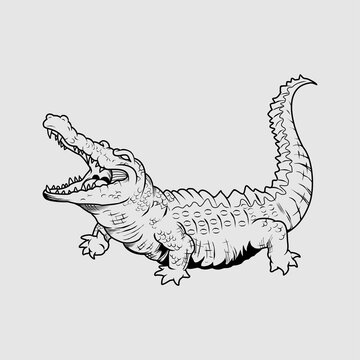 open-mouthed crocodile black and white clip art preview