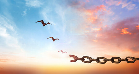 hope concept, Bird flying and broken chains over blurred nature sunrise background - obrazy, fototapety, plakaty