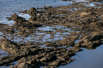 Coastline formed by volcanic activity in Ogi coast in Sado Island, Niigata prefecture, Japan.