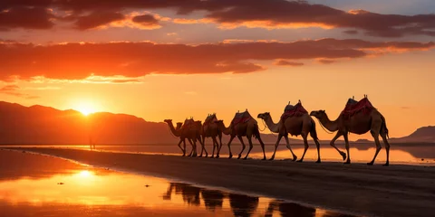 Foto op Plexiglas Sequence of camels lined up across a desert landscape © Putra