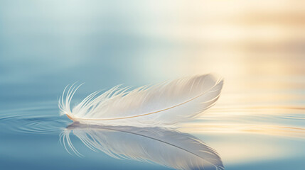 A serene image of a white feather