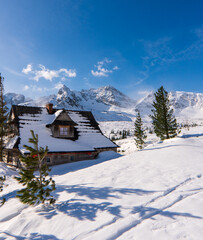 wonderful winter scenery with snow and timber cabin chalet home in High Tatras mountain in Slovakia...